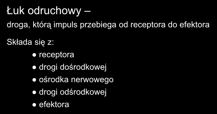 Łuk odruchowy droga, którą impuls przebiega od receptora do efektora Składa się z: receptora drogi