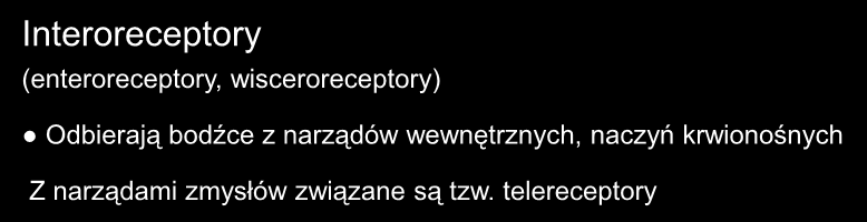 Receptory układu autonomicznego Interoreceptory (enteroreceptory, wisceroreceptory) Odbierają bodźce z narządów