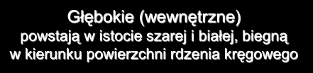 Odpływ krwi żylnej Układ żył rdzenia kręgowego Powierzchowne jak tętnice układają się w podłużne pnie oraz gałęzie poprzeczne i tworzą sieć żylną Głębokie (wewnętrzne) powstają w istocie szarej i