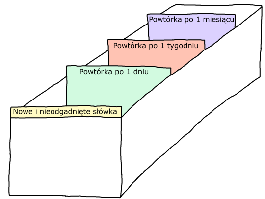 Czasowniki przedstawione są na fiszkach z odmianą przez wszystkie osoby w liczbie pojedynczej i mnogiej czasu teraźniejszego.