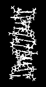 Przyczyny modyfikacji DNA działania czynników fizycznych np.