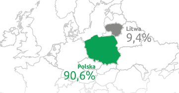 Zdywersyfikowana struktura 10,1% Sprzedaż hurtowa Sprzedaż