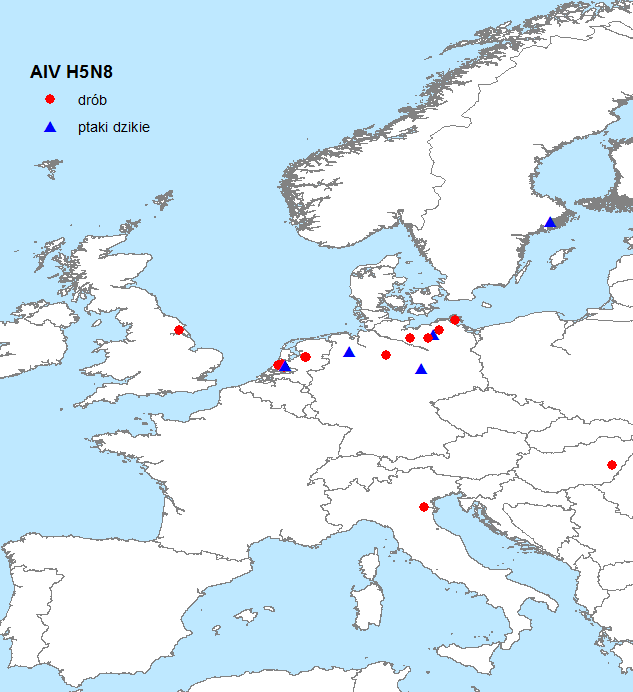 H5N8 w Europie 2014/2015 Drób i ptaki dzikie: Niemcy Holandia