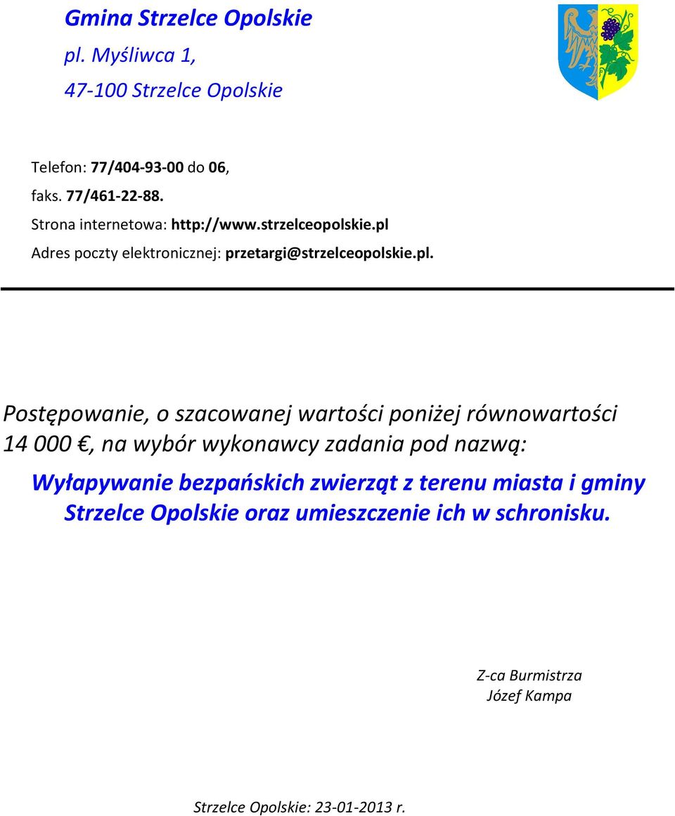 Adres poczty elektronicznej: przetargi@strzelceopolskie.pl.