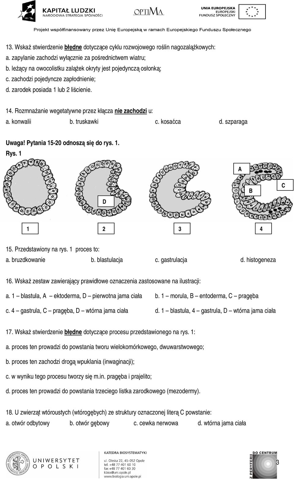 konwalii b. truskawki c. kosaćca d. szparaga Uwaga! Pytania 15-20 odnoszą się do rys. 1. Rys. 1 A D B C 1 2 3 4 15. Przedstawiony na rys. 1 proces to: a. bruzdkowanie b. blastulacja c. gastrulacja d.