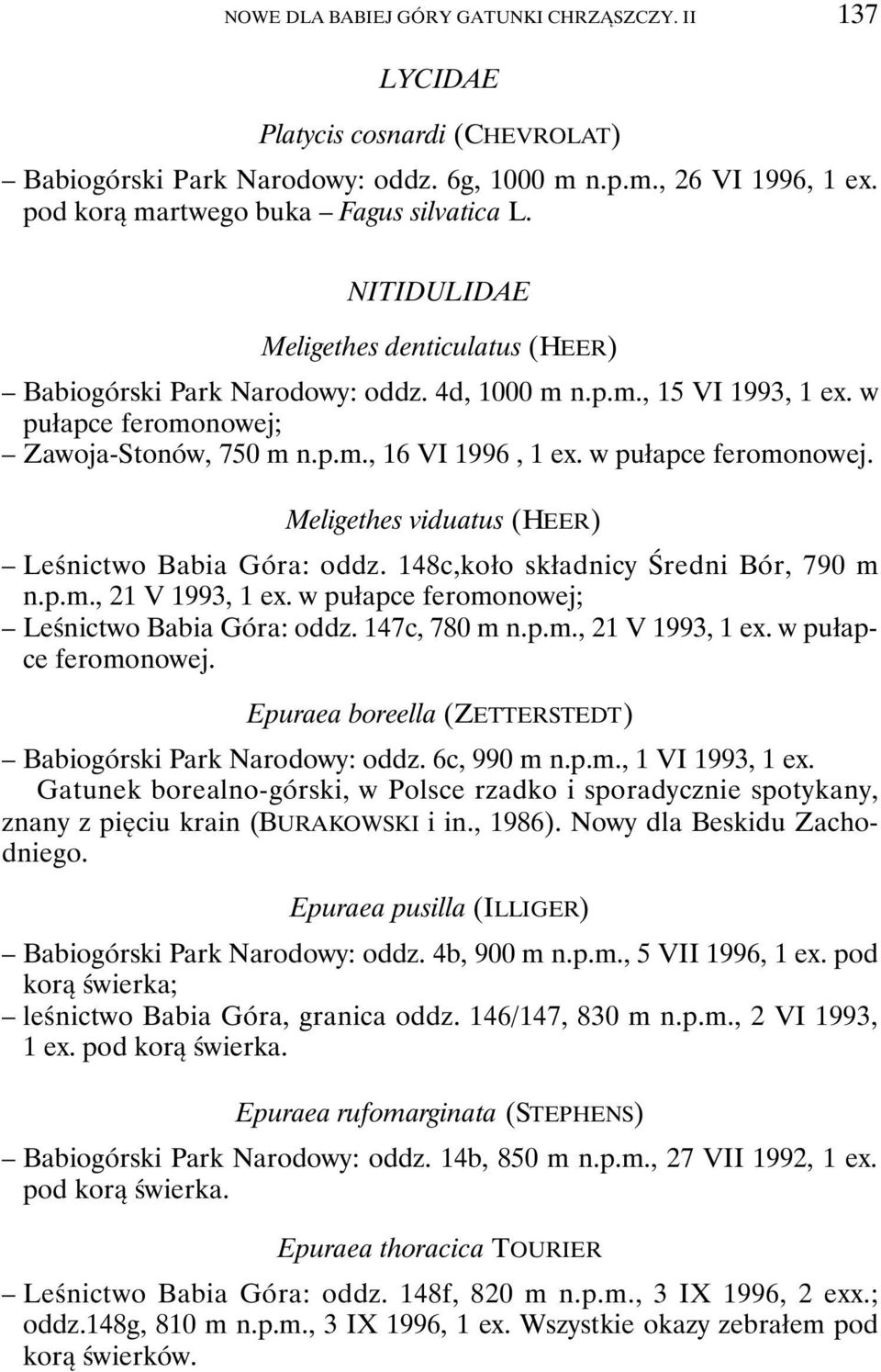 w pułapce feromonowej. Meligethes viduatus (HEER) Leśnictwo Babia Góra: oddz. 148c,koło składnicy Średni Bór, 790 m n.p.m., 21 V 1993, 1 ex. w pułapce feromonowej; Leśnictwo Babia Góra: oddz.