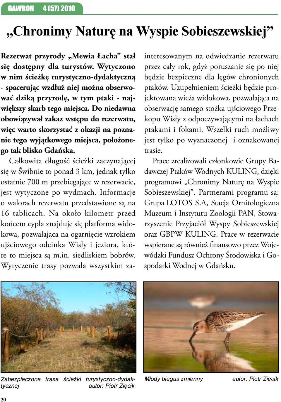 Do niedawna obowiązywał zakaz wstępu do rezerwatu, więc warto skorzystać z okazji na poznanie tego wyjątkowego miejsca, położonego tak blisko Gdańska.