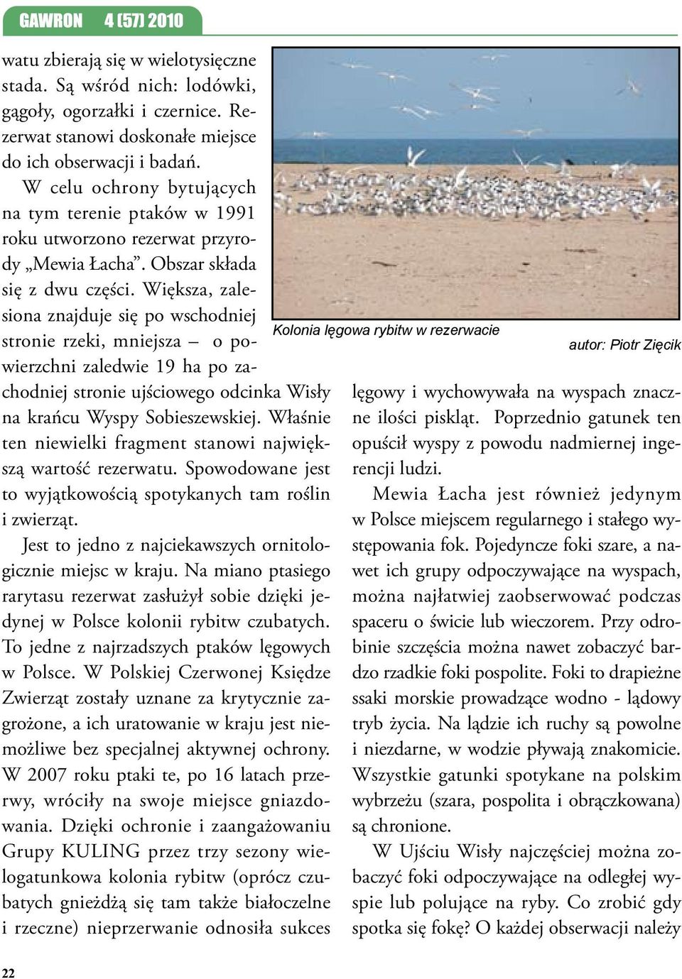 Większa, zalesiona znajduje się po wschodniej stronie rzeki, mniejsza o powierzchni zaledwie 19 ha po zachodniej stronie ujściowego odcinka Wisły na krańcu Wyspy Sobieszewskiej.
