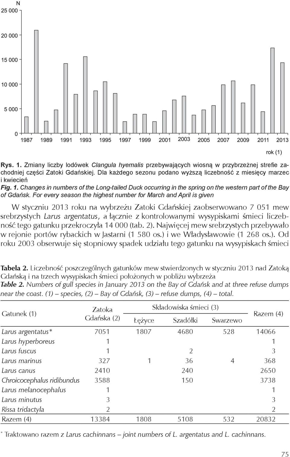 For every season the highest number for March and April is given W styczniu 2013 roku na wybrzeżu Zatoki Gdańskiej zaobserwowano 7 051 mew srebrzystych Larus argentatus, a łącznie z kontrolowanymi