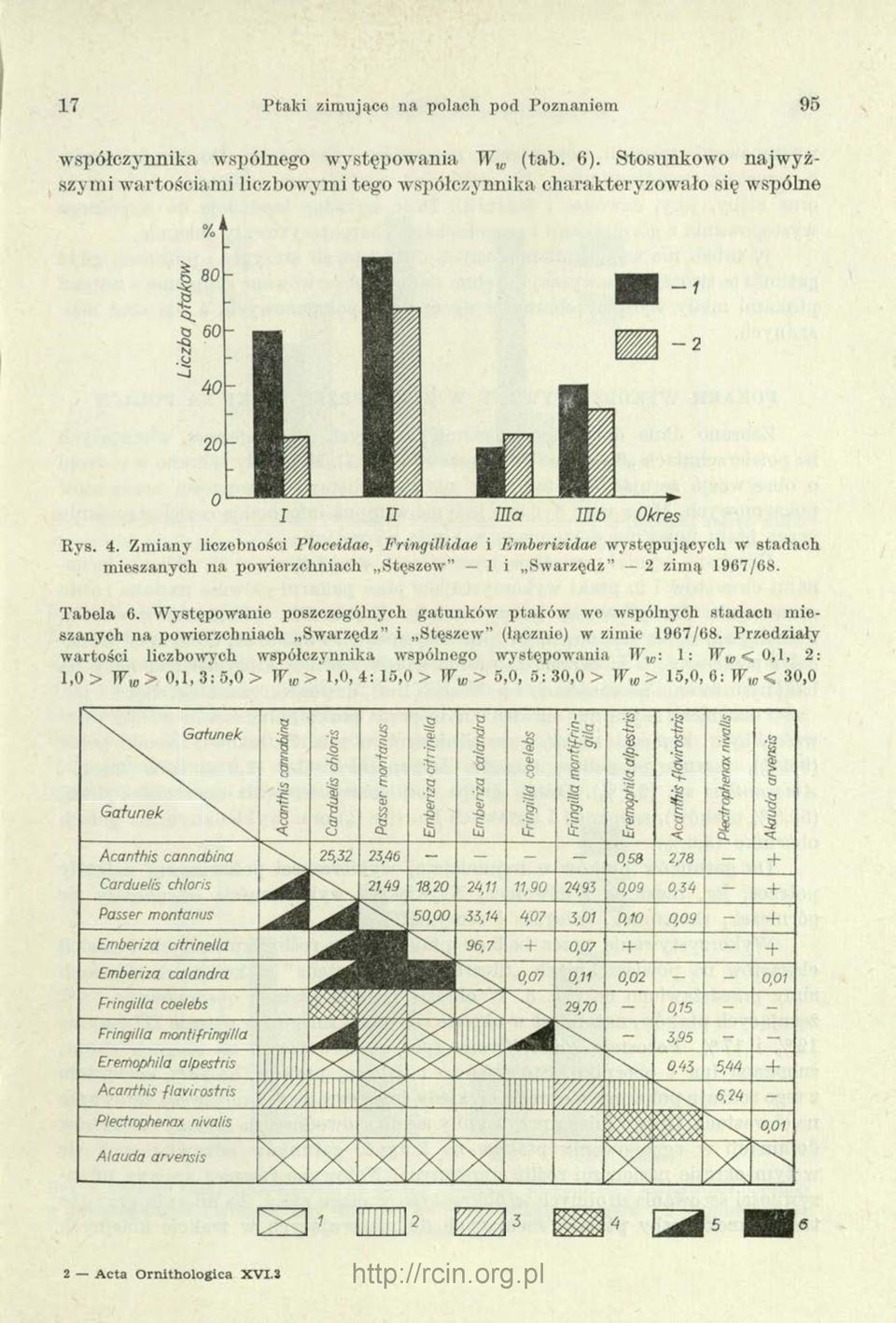 Występowanie poszczególnych gatunków ptaków we wspólnych stadach mieszanych na powierzchniach Swarzędz i Stęszew (łącznie) w zimie 1967/68.