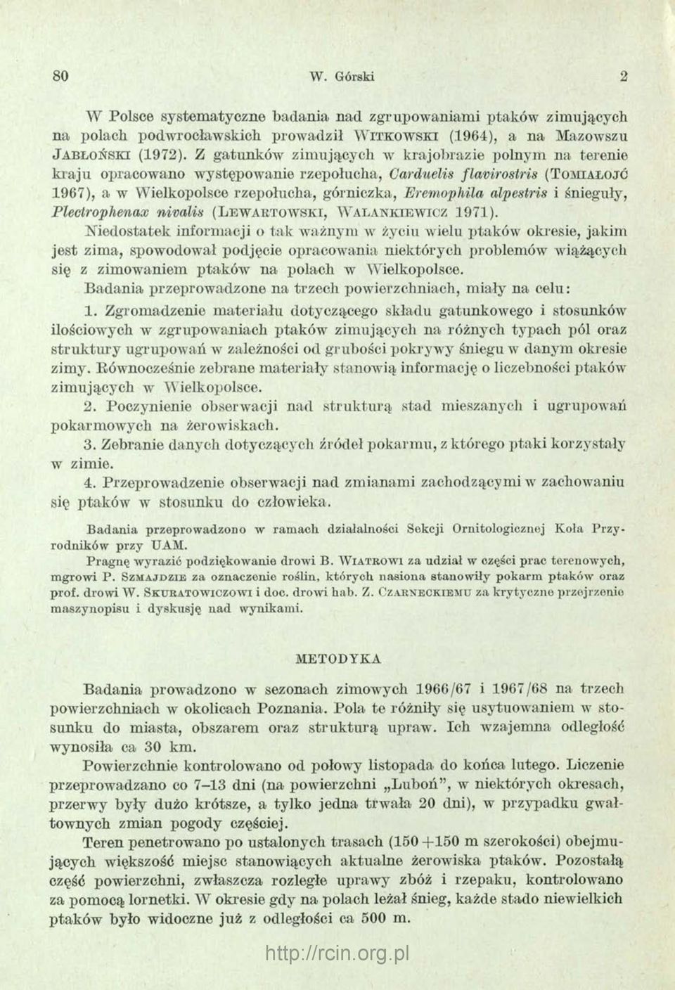 alpestris i śnieguły, Plectrophenax nivalin ( L e w a r t o w s k i, W a la n k ie w ic z 1971).