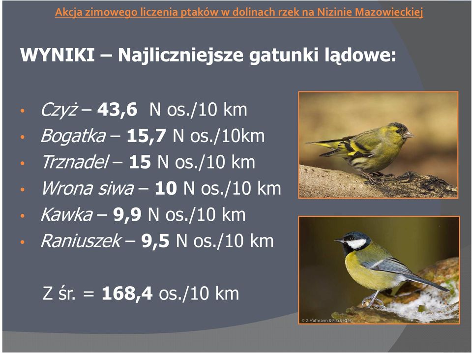 /10 km Wrona siwa 10 N os./10 km Kawka 9,9 N os.