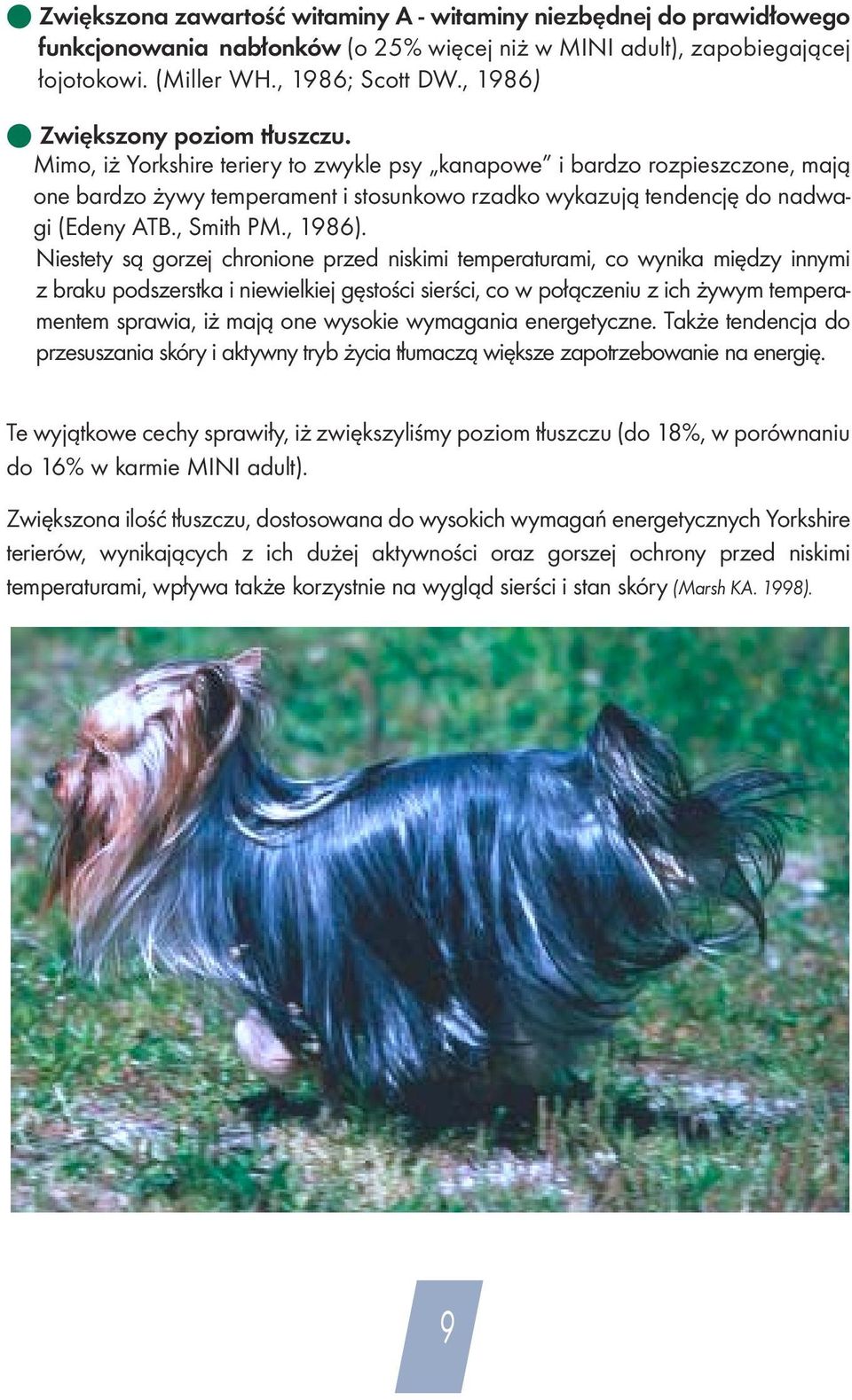 Mimo, iż Yorkshire teriery to zwykle psy kanapowe i bardzo rozpieszczone, mają one bardzo żywy temperament i stosunkowo rzadko wykazują tendencję do nadwagi (Edeny ATB., Smith PM., 1986).