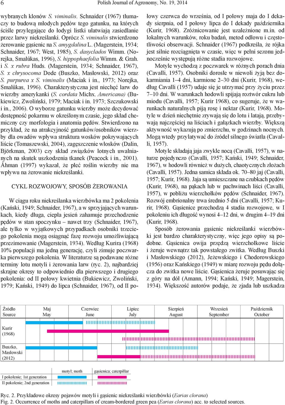 viminalis stwierdzono żerowanie gąsienic na S. amygdalina L. (Magerstein, 1934; Schnaider, 1967; West, 1985), S. dasyclados Wimm. (Norejka, Smalûkas, 1996), S. hippophaefolia Wimm. & Grah. i S.