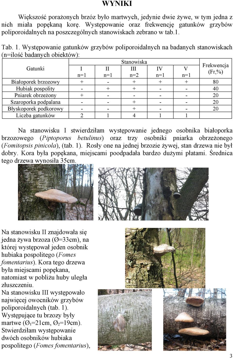 . Występowanie gatunków grzybów poliporoidalnych na badanych stanowiskach (n=ilość badanych obiektów): Gatunki Białoporek brzozowy Hubiak pospolity Pniarek obrzeżony Szaroporka podpalana Błyskoporek