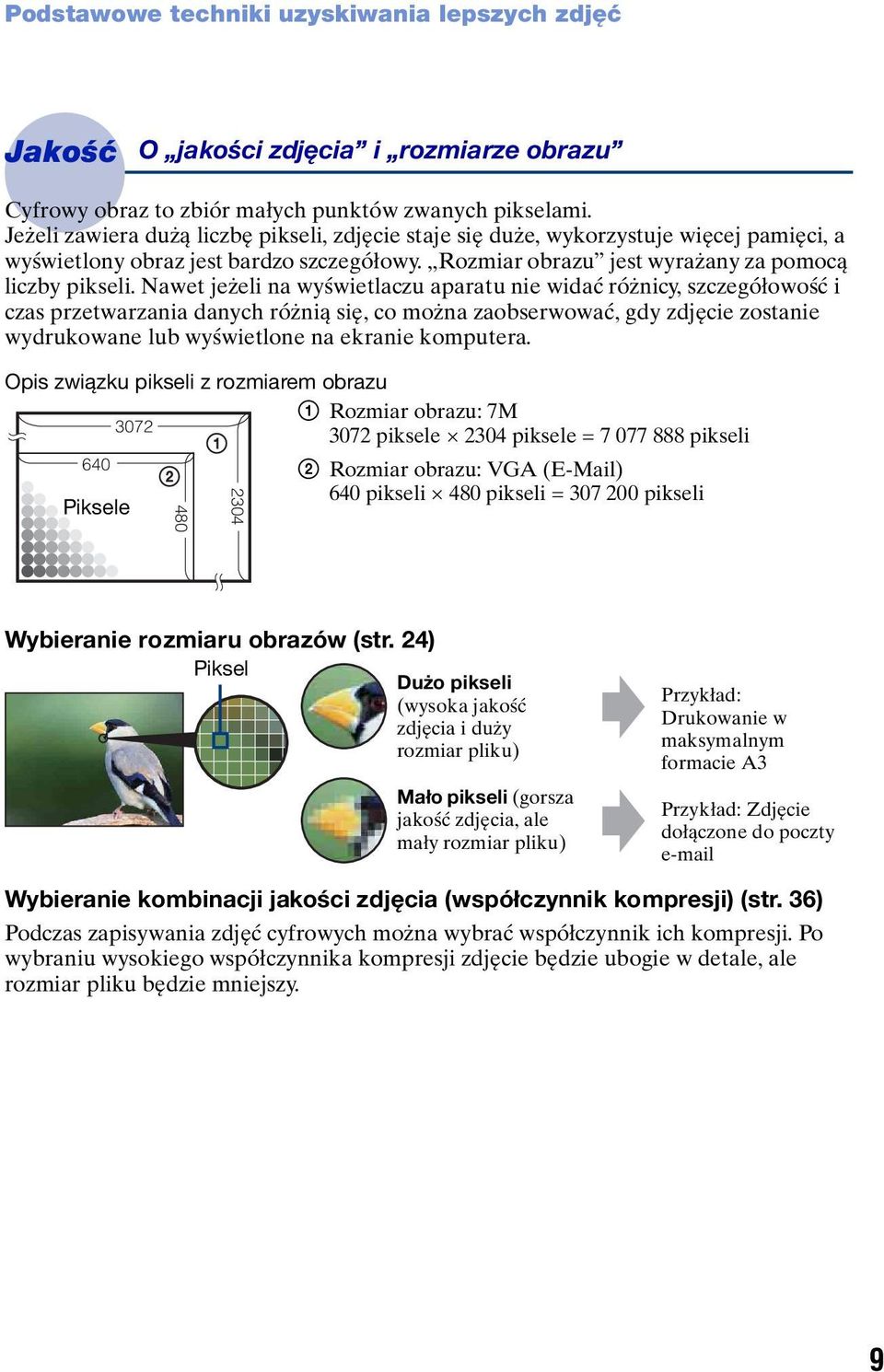 Nawet jeżeli na wyświetlaczu aparatu nie widać różnicy, szczegółowość i czas przetwarzania danych różnią się, co można zaobserwować, gdy zdjęcie zostanie wydrukowane lub wyświetlone na ekranie