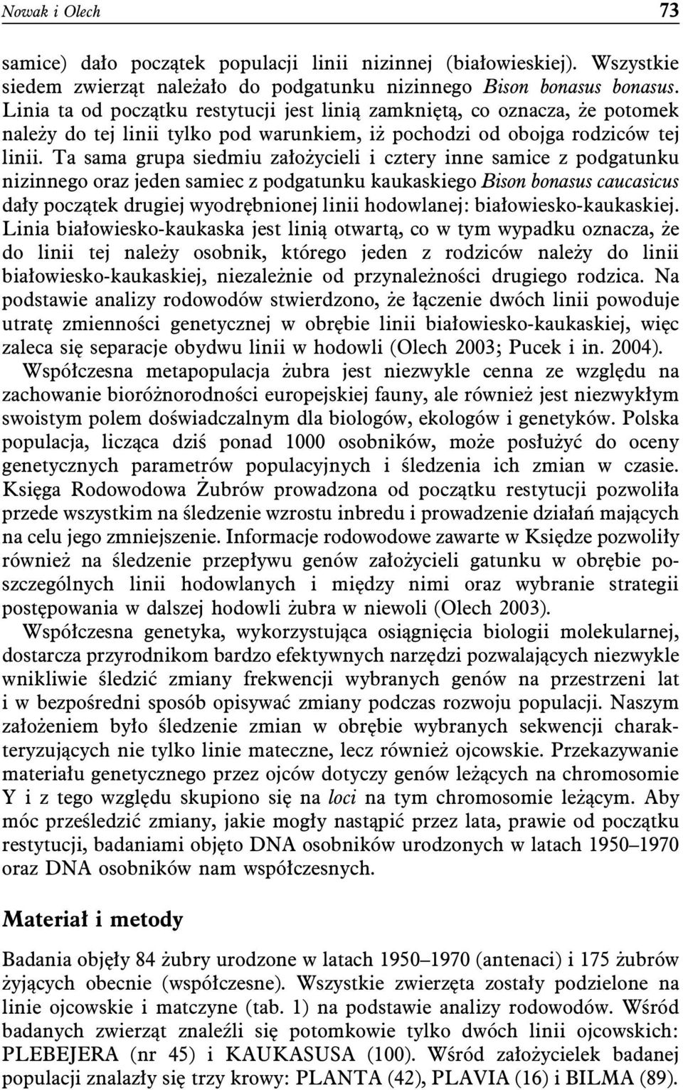 Ta sama grupa siedmiu założycieli i cztery inne samice z podgatunku nizinnego oraz jeden samiec z podgatunku kaukaskiego Bison bonasus caucasicus dały początek drugiej wyodrębnionej linii hodowlanej: