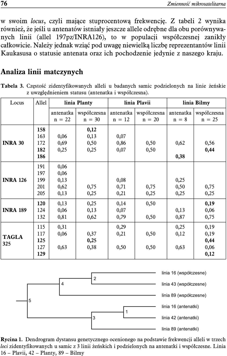 Należy jednak wziąć pod uwagę niewielką liczbę reprezentantów linii Kaukasusa o statusie antenata oraz ich pochodzenie jedynie z naszego kraju. Analiza linii matczynych Tabela 3.