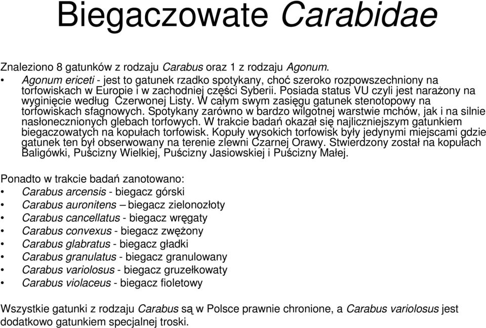 Posiada status VU czyli jest naraŝony na wyginięcie według Czerwonej Listy. W całym swym zasięgu gatunek stenotopowy na torfowiskach sfagnowych.