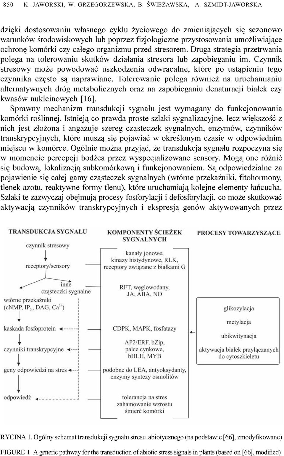 organizmu przed stresorem. Druga strategia przetrwania polega na tolerowaniu skutków dzia³ania stresora lub zapobieganiu im.