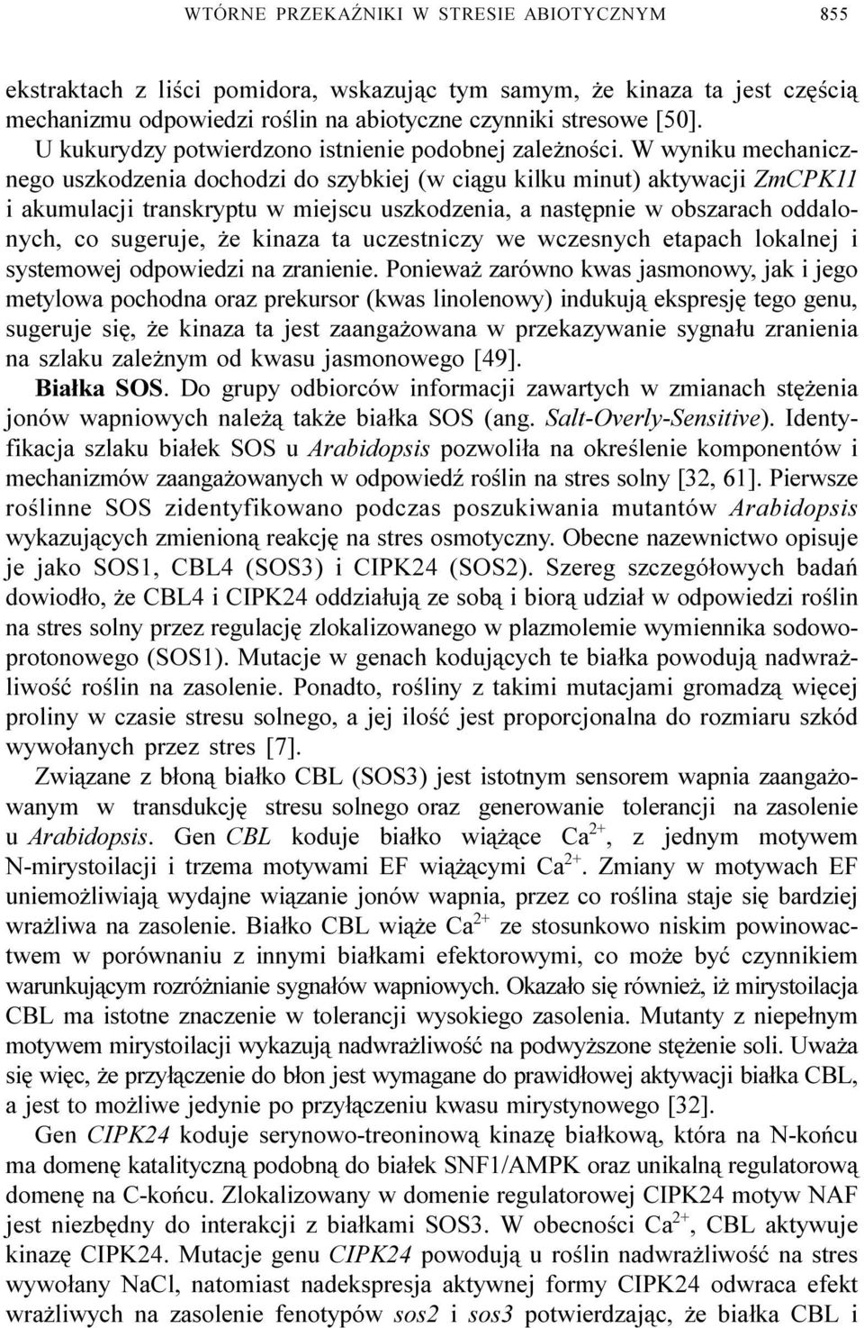 W wyniku mechanicznego uszkodzenia dochodzi do szybkiej (w ci¹gu kilku minut) aktywacji ZmCPK11 i akumulacji transkryptu w miejscu uszkodzenia, a nastêpnie w obszarach oddalonych, co sugeruje, e