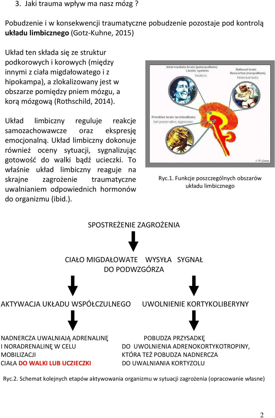 migdałowatego i z hipokampa), a zlokalizowany jest w obszarze pomiędzy pniem mózgu, a korą mózgową (Rothschild, 2014). Układ limbiczny reguluje reakcje samozachowawcze oraz ekspresję emocjonalną.