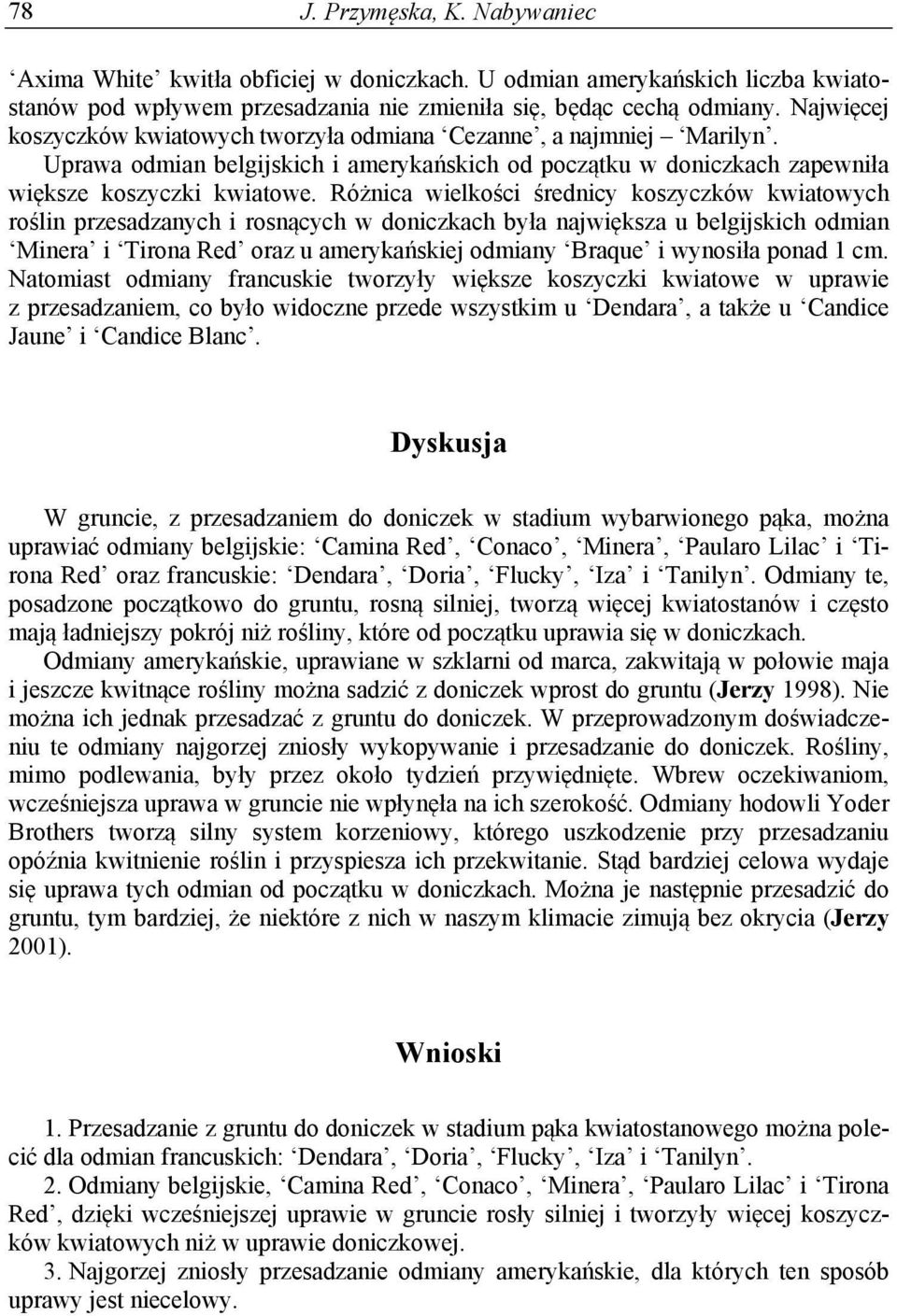 Różnica wielkości średnicy koszyczków kwiatowych roślin przesadzanych i rosnących w ch była największa u belgijskich odmian Minera i Tirona Red oraz u amerykańskiej odmiany Braque i wynosiła ponad 1