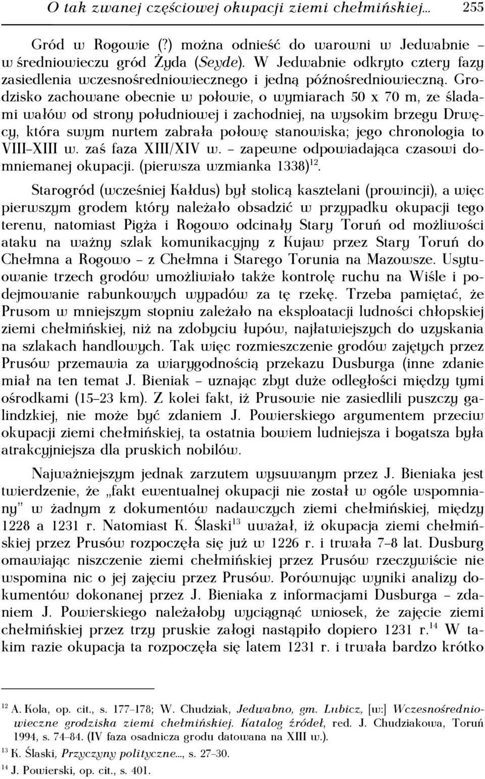 Grodzisko zachowane obecnie w połowie, o wymiarach 50 x 70 m, ze śladami wałów od strony południowej i zachodniej, na wysokim brzegu Drwęcy, która swym nurtem zabrała połowę stanowiska; jego