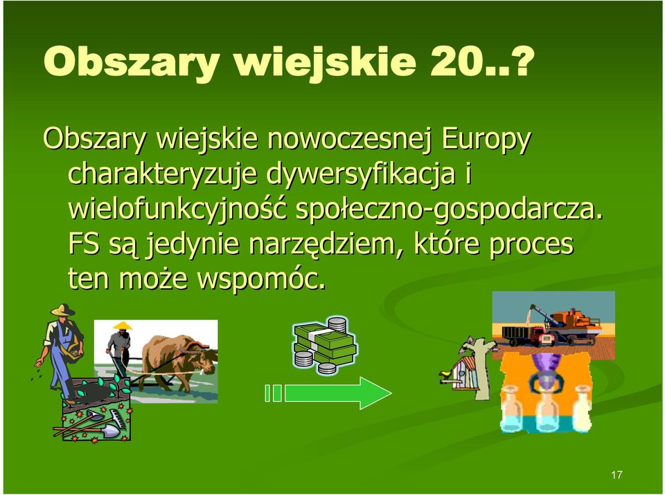 charakteryzuje dywersyfikacja i wielofunkcyjność