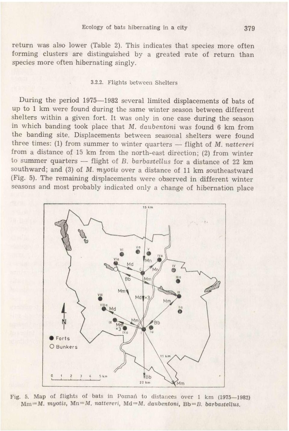 2. Flights between Shelters During the period 1975 1982 several limited displacements of bats of up to 1 km were found during the same winter season between different shelters within a given fort.