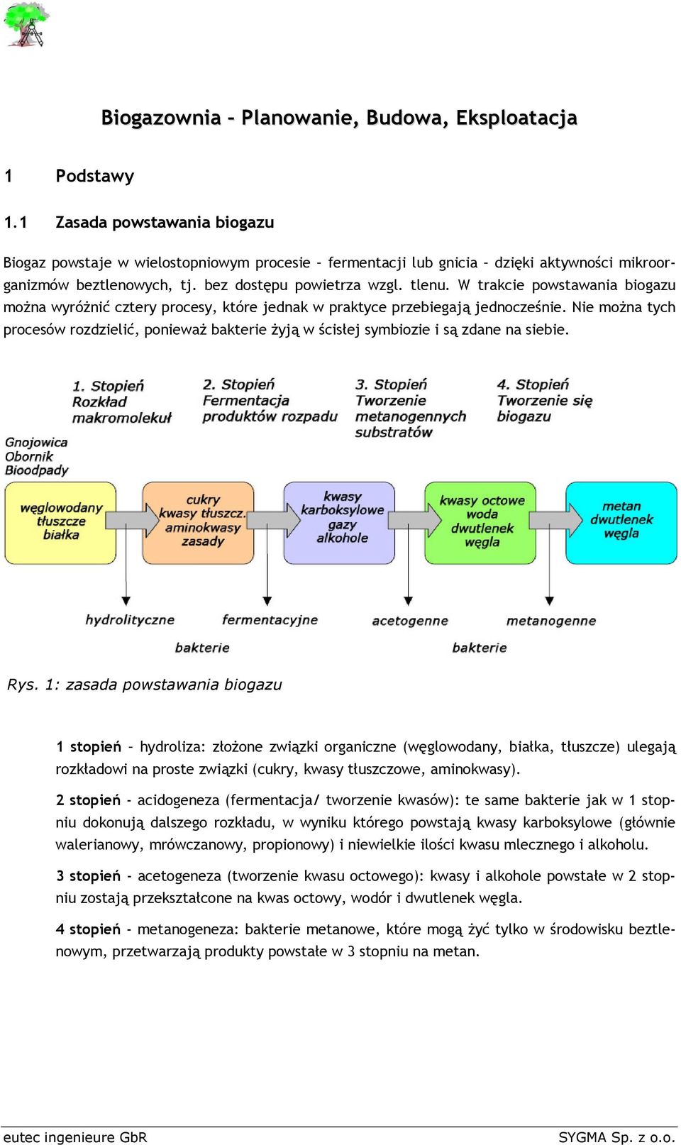 W trakcie powstawania biogazu można wyróżnić cztery procesy, które jednak w praktyce przebiegają jednocześnie.