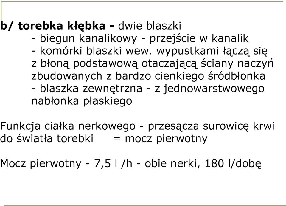 śródbłonka - blaszka zewnętrzna - z jednowarstwowego nabłonka płaskiego Funkcja ciałka nerkowego -