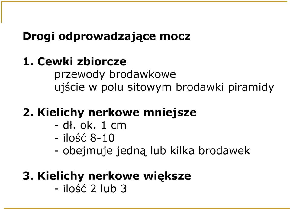 brodawki piramidy 2. Kielichy nerkowe mniejsze - dł. ok.