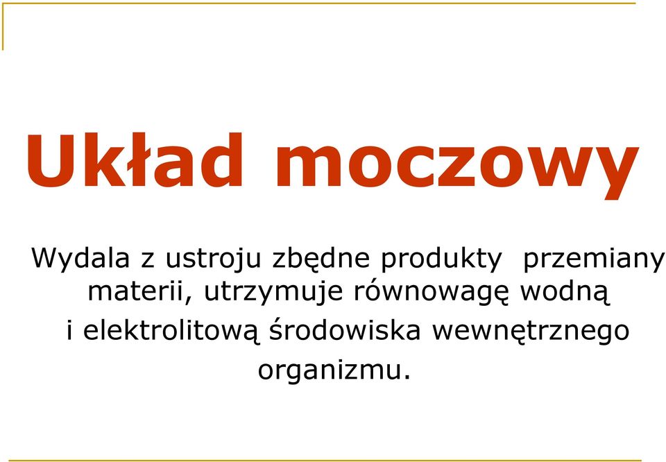 utrzymuje równowagę wodną i