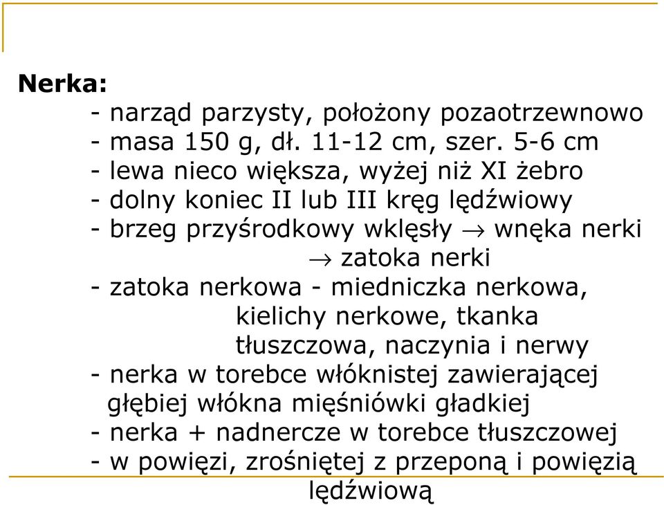 nerki zatoka nerki - zatoka nerkowa - miedniczka nerkowa, kielichy nerkowe, tkanka tłuszczowa, naczynia i nerwy - nerka w