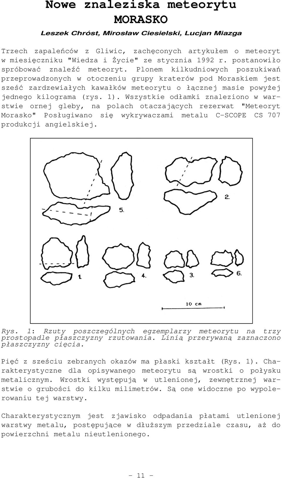 Plonem kilkudniowych poszukiwań przeprowadzonych w otoczeniu grupy kraterów pod Moraskiem jest sześć zardzewiałych kawałków meteorytu o łącznej masie powyżej jednego kilograma (rys. 1).