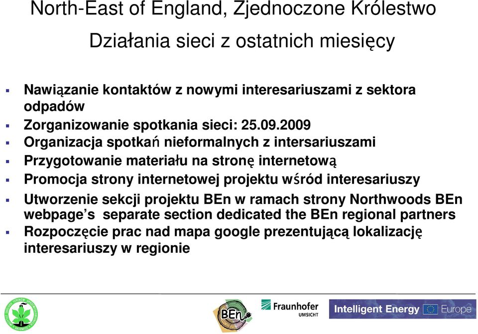 2009 Organizacja spotkań nieformalnych z intersariuszami Przygotowanie materiału na stronę internetową Promocja strony internetowej