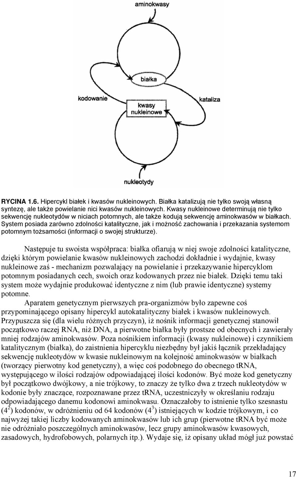 System posiada zarówno zdolności katalityczne, jak i możność zachowania i przekazania systemom potomnym tożsamości (informacji o swojej strukturze).