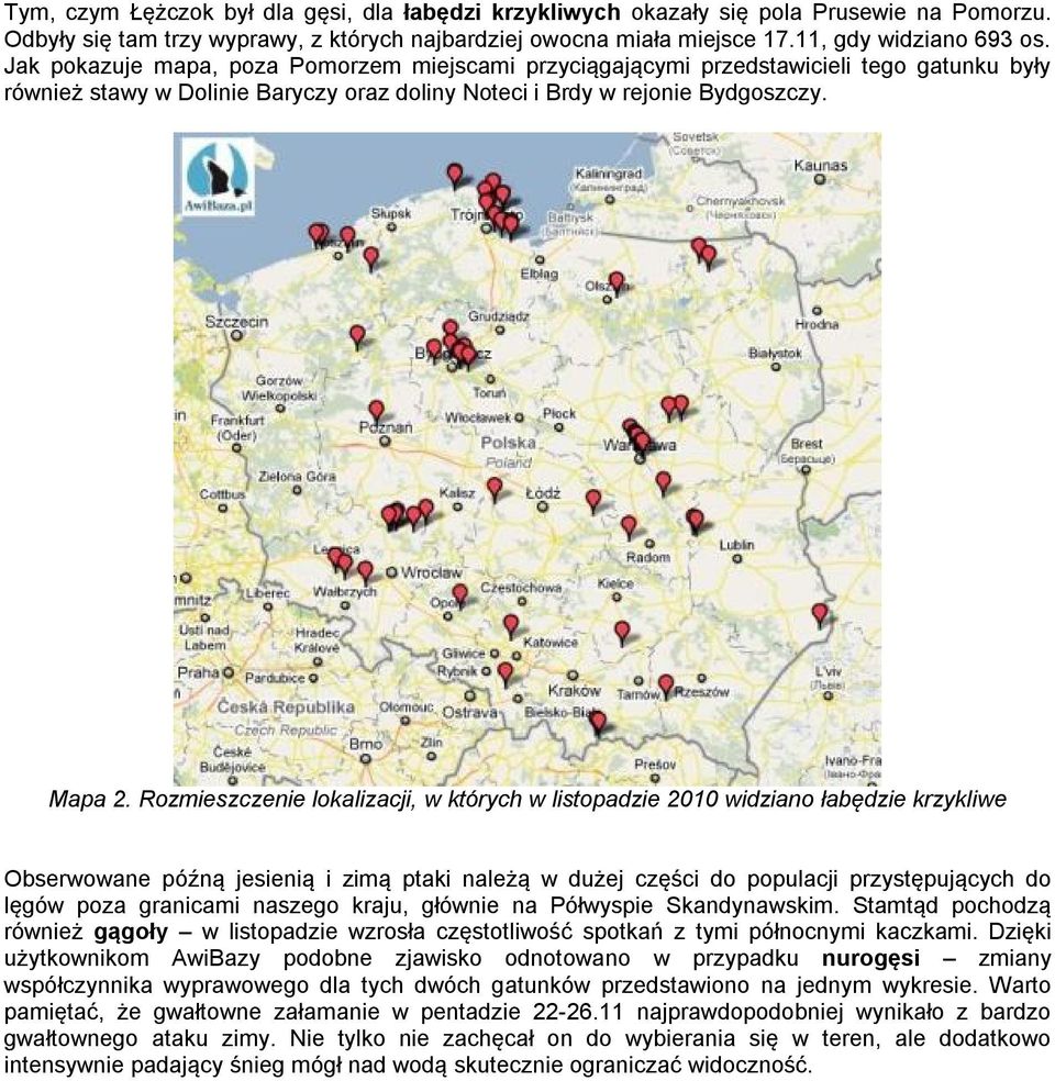 Rozmieszczenie lokalizacji, w których w listopadzie 2010 widziano łabędzie krzykliwe Obserwowane późną jesienią i zimą ptaki należą w dużej części do populacji przystępujących do lęgów poza granicami