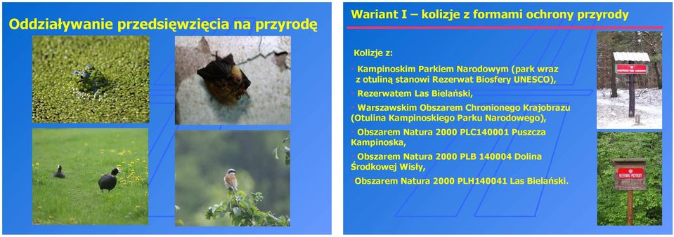 Obszarem Chronionego Krajobrazu (Otulina Kampinoskiego Parku Narodowego), Obszarem Natura 2000 PLC140001