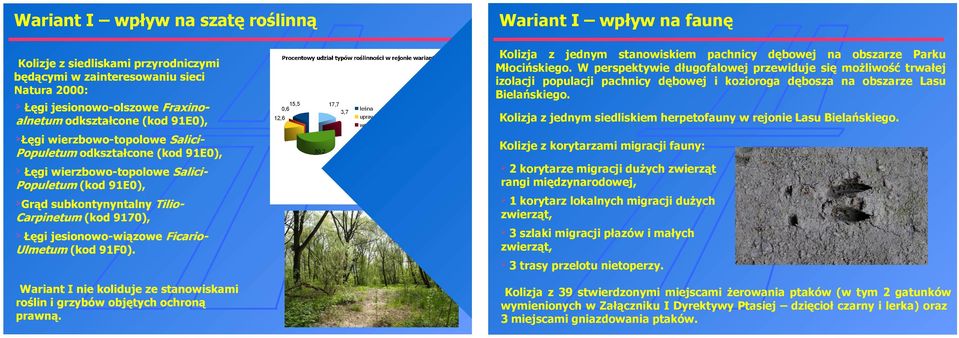 Kolizja z jednym siedliskiem herpetofauny w rejonie Lasu Bielańskiego.