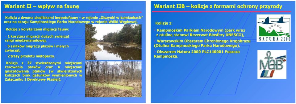 Kolizja z 37 stwierdzonymi miejscami żerowania ptaków oraz 4 miejscami gniazdowania ptaków (w stwierdzonych kolizjach brak gatunków wymienionych w Załączniku I Dyrektywy Ptasiej).