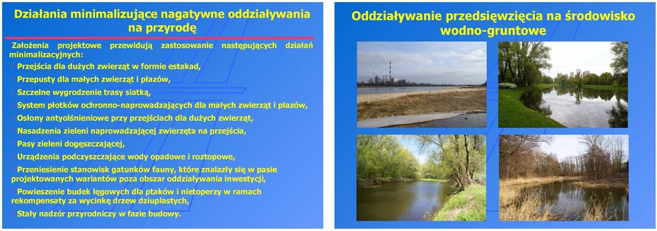 płazów, Osłony antyolśnieniowe przy przejściach dla dużych zwierząt, Nasadzenia zieleni naprowadzającej zwierzęta na przejścia, Pasy zieleni dogęszczającej, Urządzenia podczyszczające wody opadowe i