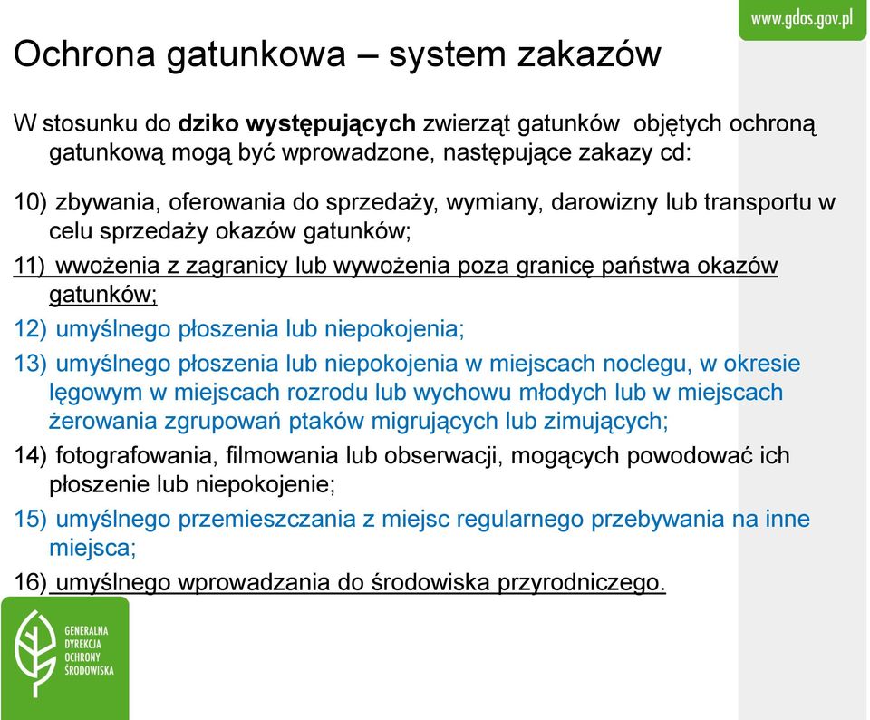 umyślnego płoszenia lub niepokojenia w miejscach noclegu, w okresie lęgowym w miejscach rozrodu lub wychowu młodych lub w miejscach żerowania zgrupowań ptaków migrujących lub zimujących; 14)