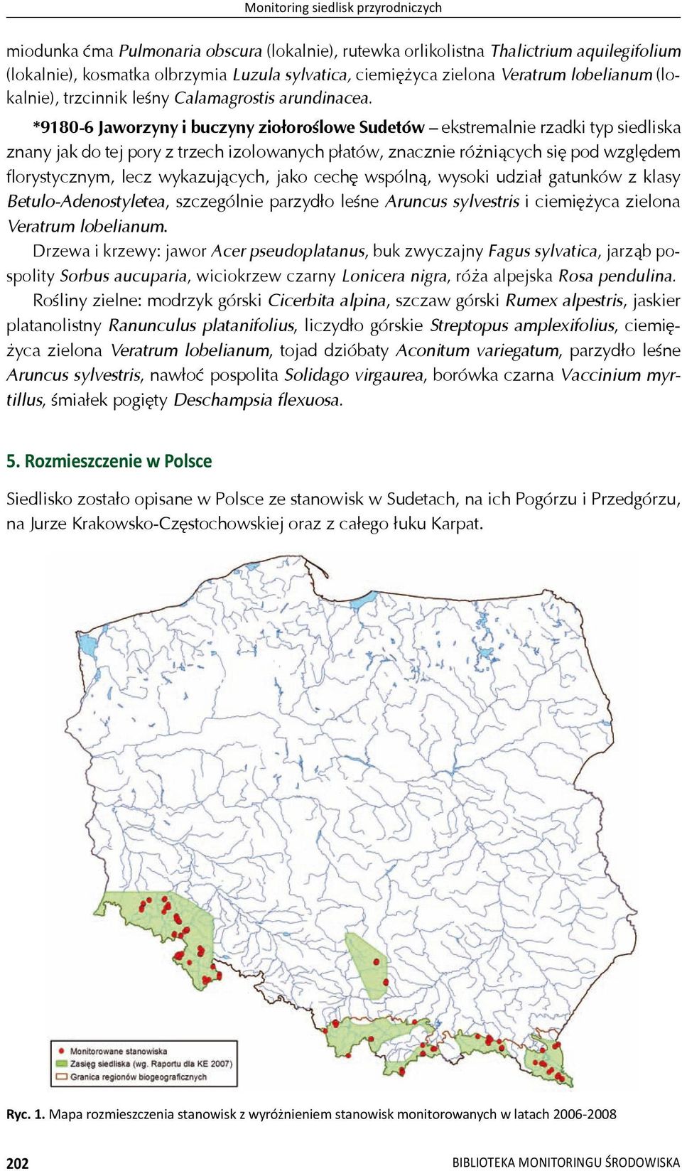 *9180-6 Jaworzyny i buczyny zio oro lowe Sudetów ekstremalnie rzadki typ siedliska znany jak do tej pory z trzech izolowanych p atów, znacznie ró ni cych si pod wzgl dem florystycznym, lecz wykazuj