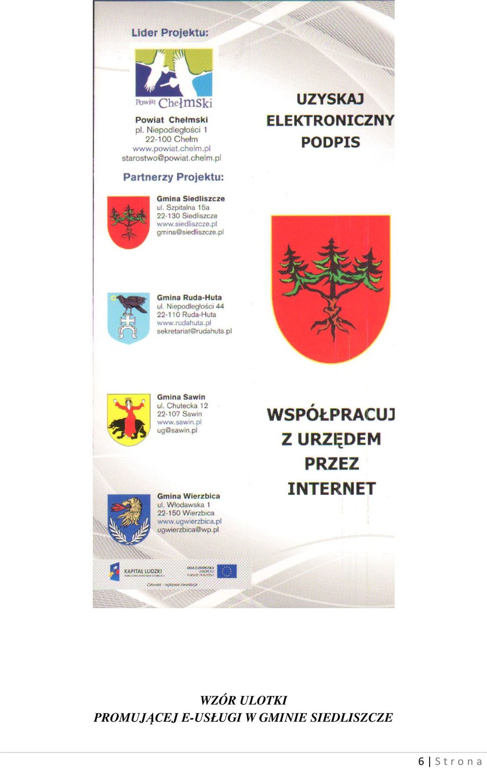 E-USŁUGI W
