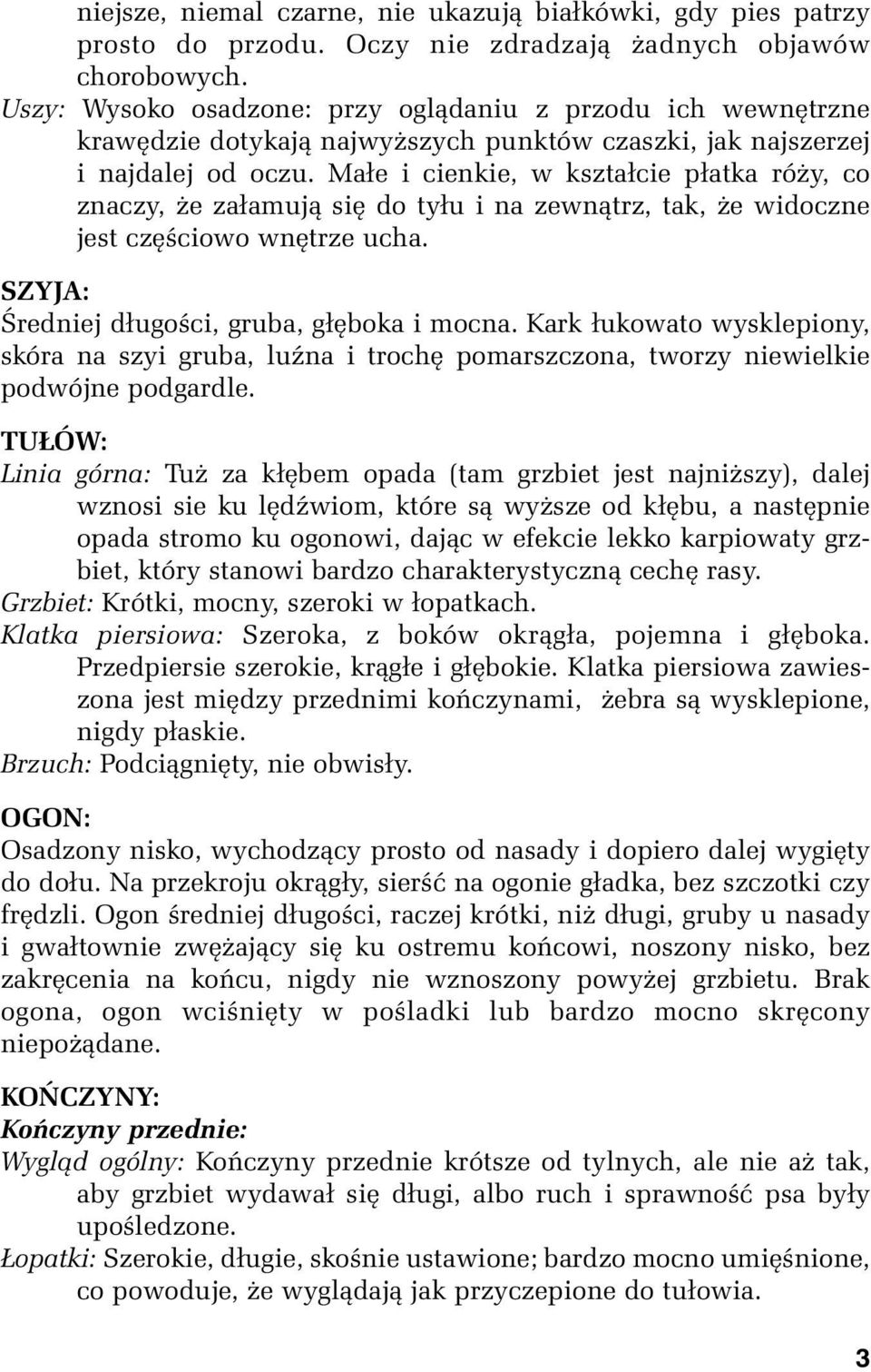 Małe i cienkie, w kształcie płatka róży, co znaczy, że załamują się do tyłu i na zewnątrz, tak, że widoczne jest częściowo wnętrze ucha. SZYJA: Średniej długości, gruba, głęboka i mocna.