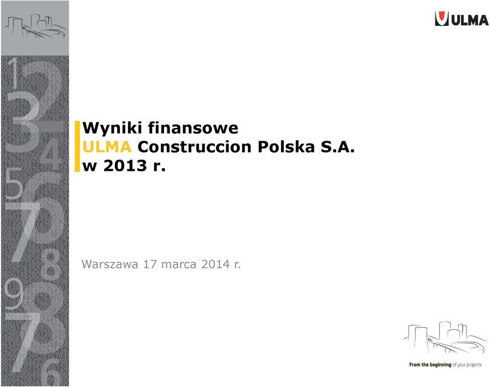 Polska S.A. w 2013 r.