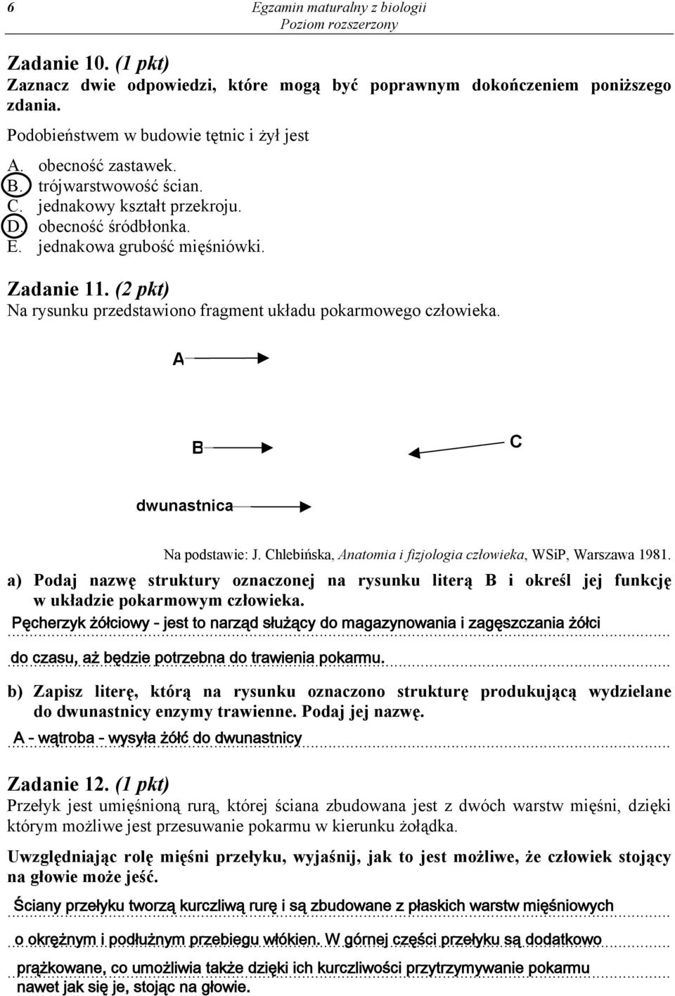 A B C dwunastnica Na podstawie: J. Chlebińska, Anatomia i fizjologia człowieka, WSiP, Warszawa 1981.