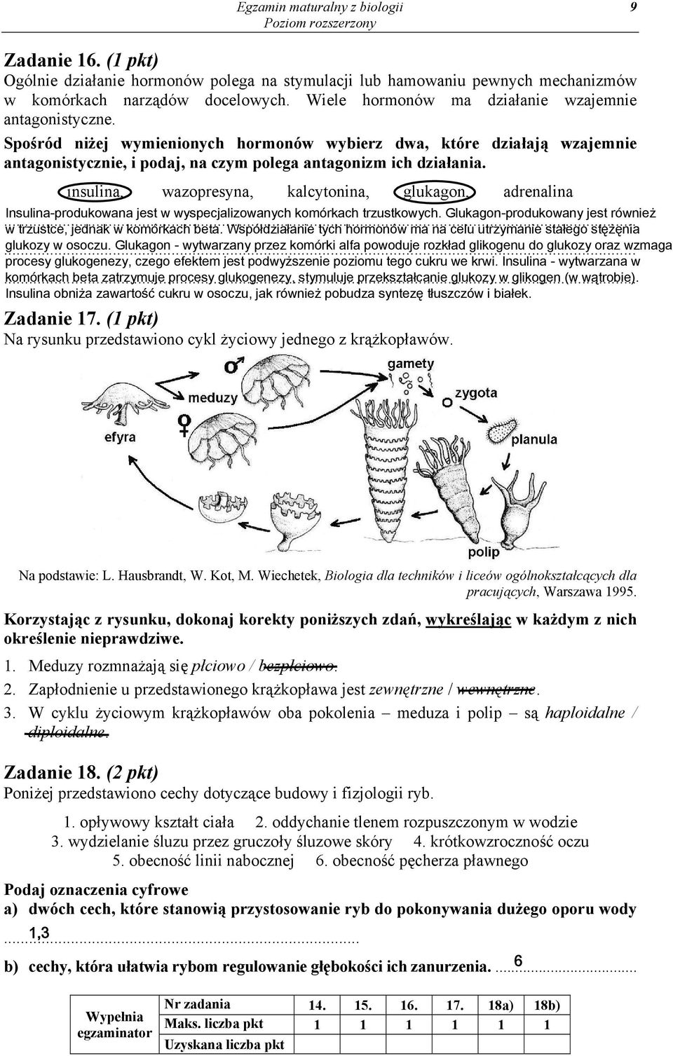 insulina, wazopresyna, kalcytonina, glukagon, adrenalina Insulina-produkowana jest w wyspecjalizowanych komórkach trzustkowych. Glukagon-produkowany jest również w trzustce, jednak w komórkach beta.